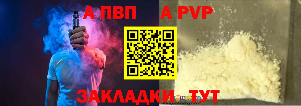 A PVP СК КРИС Прокопьевск
