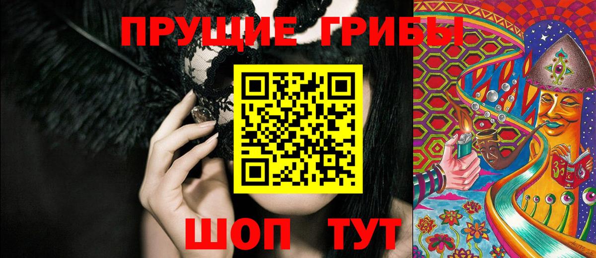 Псилоцибиновые грибы Psilocybine cubensis Прокопьевск