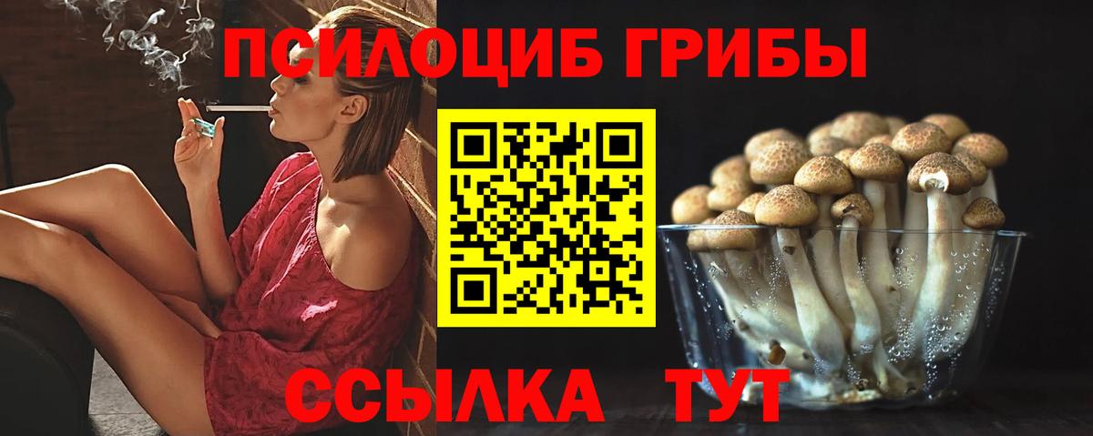 Прокопьевск  Псилоцибиновые грибы Psilocybe  наркотики  Вход с VPN  Галлюциногенные грибы Psilocybine cubensis 